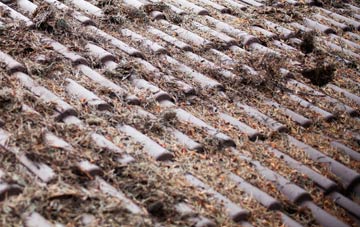 Charlton On The Hill roof cleaning companies