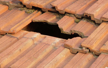 roof repair Charlton On The Hill, Dorset