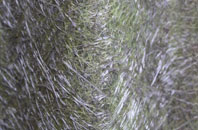 Charlton On The Hill fibreglass roof work